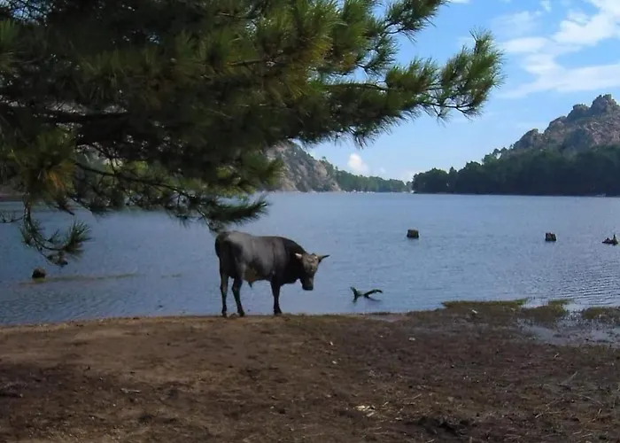 Tarco, South Corsica, Sea View & Garden *