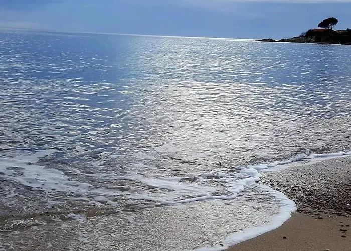 别墅 Tarco, South Corsica, Sea View & Garden 孔卡