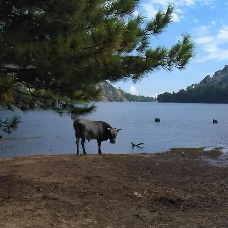 Tarco, South Corsica, Sea View & Garden *