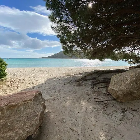 ヴィラ Tarco, South Corsica, Sea View & Garden *