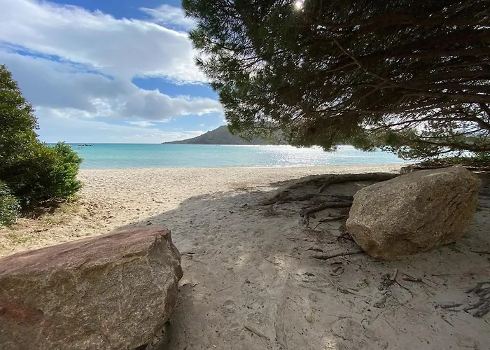 Villa Tarco, South Corsica, Sea View&garden *